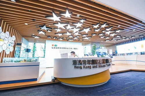 深圳 四十載風華織就城市文化底蘊，經紀人服務賦能藝術新生態